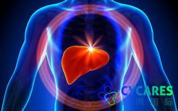 肝癌疑云：藏在体检单里的秘密,探寻健康背后的秘密