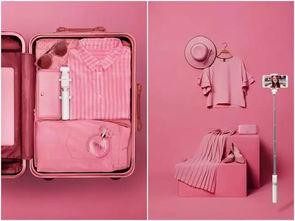 粉红三角架,探索现代都市中的温馨角落